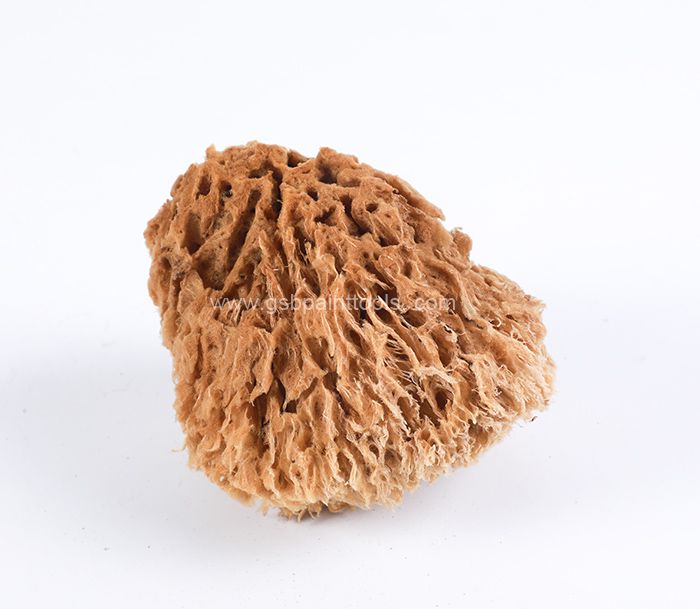 Natural Sponge TM-HM